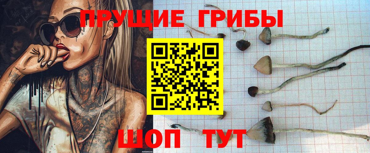 Галлюциногенные грибы мицелий Курчалой