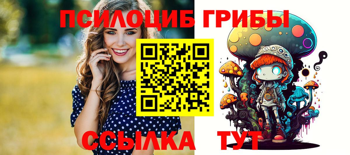 Курчалой  Псилоцибиновые грибы мицелий  Вход с VPN 